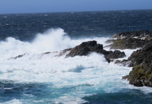 Wild West Coast Waves Uculet B.C.