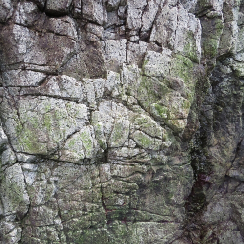Rocky Cliffs At Tofino
