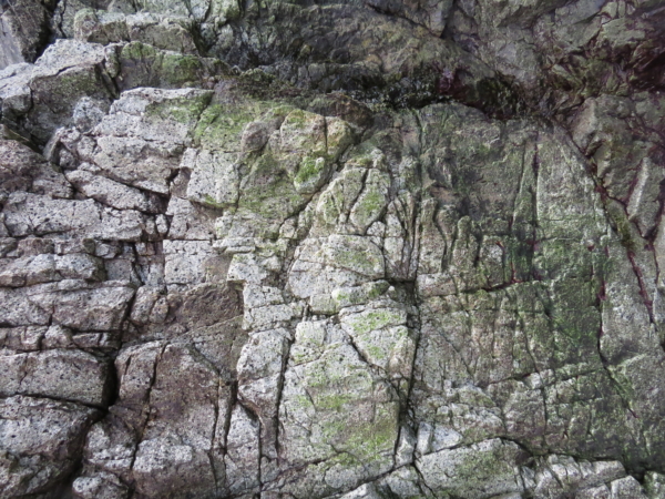 Rocky Cliffs At Tofino